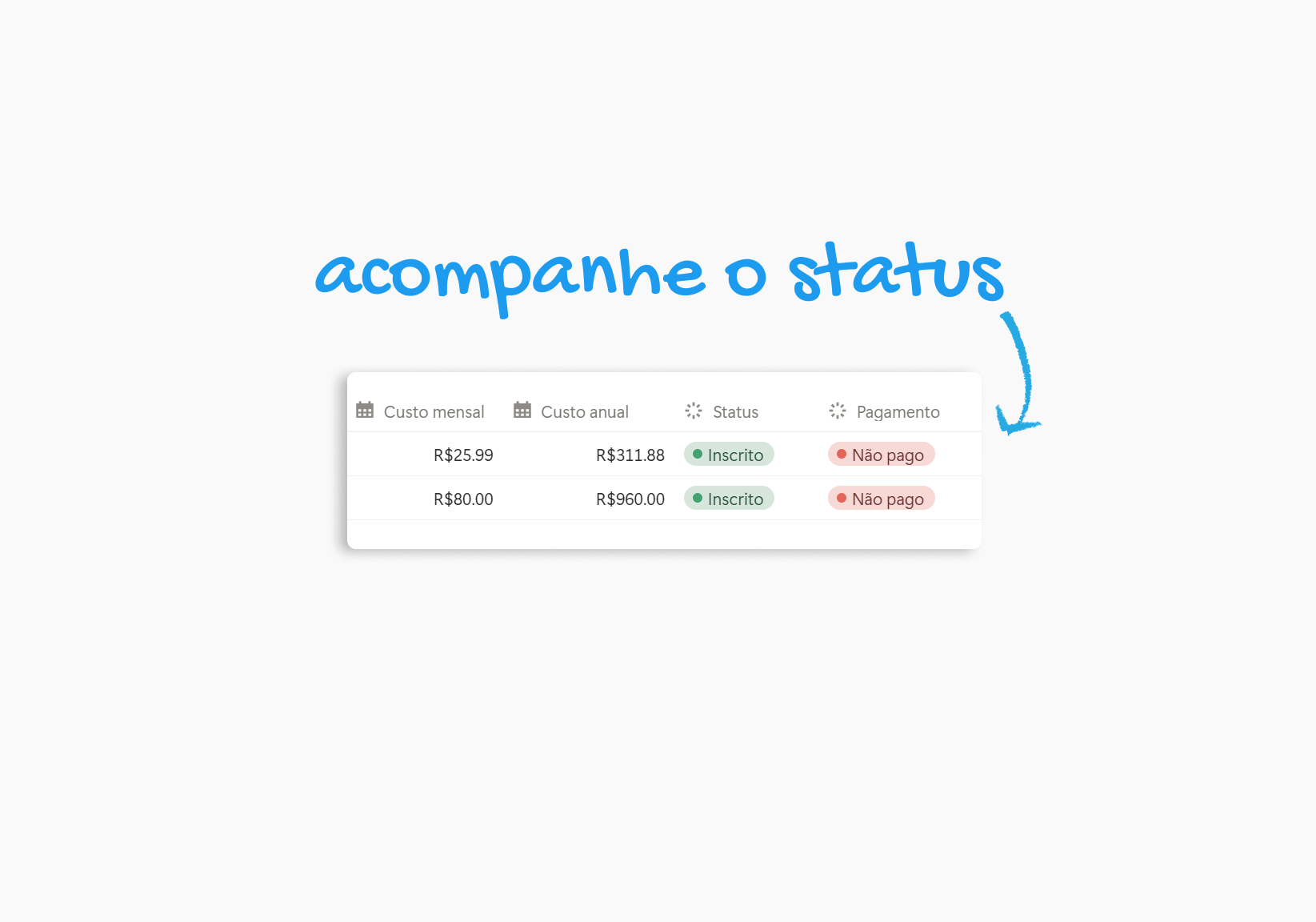 TRACKER DE ASSINATURAS - NOTION